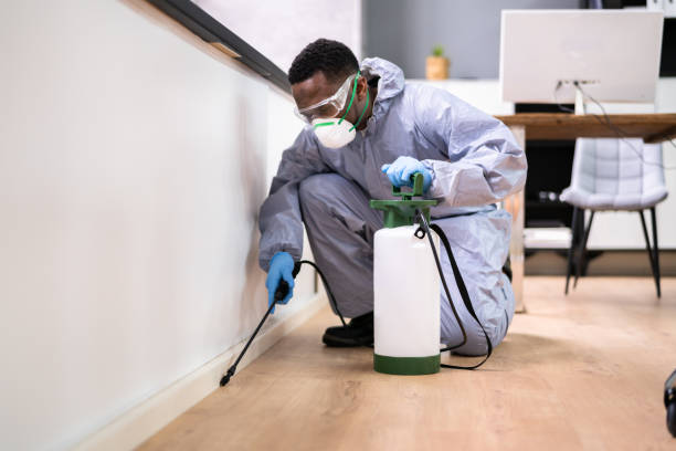 Best Pest Exclusion Services  in Luverne, MN